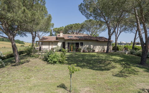 Anilde, Holiday Home with Pool, Wifi, Tuscany: Plant, Sky, Building, Tree, Window, Natural Landscape, House, Land Lot, Grass, Cottage