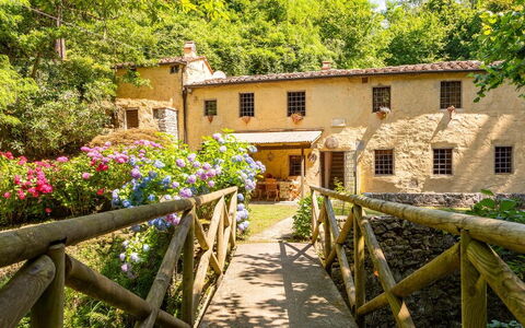Molin Barletta, Private Pool, Nature - Marliana, T: Plant, Flower, Building, Window, Property, Tree, Wood, Fence, House, Yellow