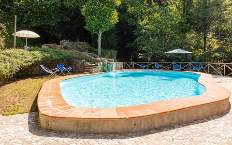 Molin Barletta, Private Pool, Nature - Marliana, T: Water, Water Resources, Plant, Azure, Tree, Natural Landscape, Swimming Pool, Rectangle, Leisure