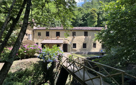 Molin Barletta, Private Pool, Nature - Marliana, T: Plant, Window, Building, Tree, Natural Landscape, House, Real Estate, Flower, Cottage, Wood