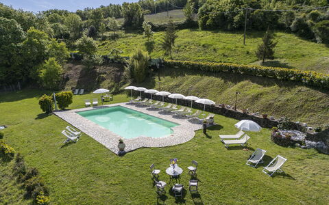 Podere Marcigliana - Radicondoli: Plant, Plant Community, Water, Tree, Land Lot, Vegetation, Grass, Sky, Swimming Pool, Shrub