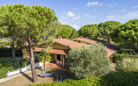 Argentario Giannella Apartment- Orbetello, Toscana: Plant, Cloud, Sky, Plant Community, Building, Window, Tree, Natural Landscape, Vegetation, Land Lot