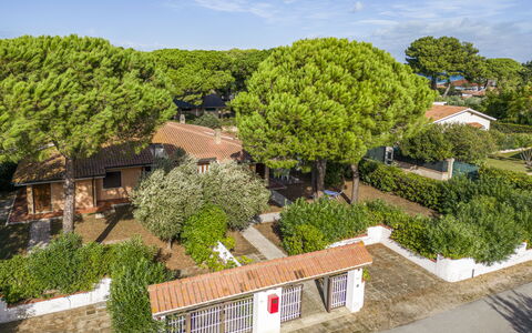 Giannella Apartment - Orbetello, Toscana: Plant, Sky, Cloud, Property, Tree, Urban Design, Land Lot, Landscape, Window, Shrub