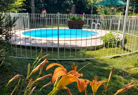Podere Vallino: Plant, Flower, Water, Botany, Nature, Tree, Fence, Grass, Shade, Swimming Pool
