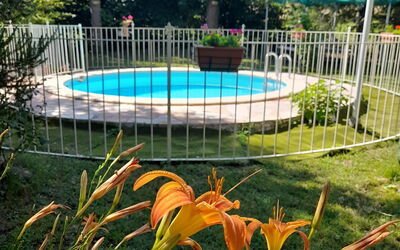 Podere Vallino: Plant, Flower, Water, Botany, Nature, Tree, Fence, Grass, Shade, Swimming Pool