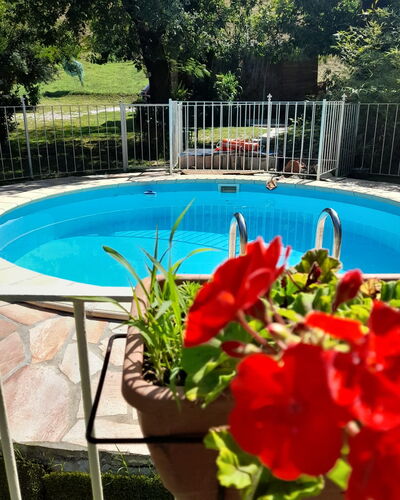 Podere Elsa: Water, Flower, Plant, Building, Swimming Pool, Flowerpot, Tree, Azure, Botany, Fence