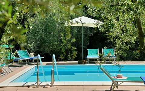 Torre Di Montelopio: Water, Plant, Furniture, Green, Swimming Pool, Nature, Tree, Shade, Outdoor Furniture, Umbrella