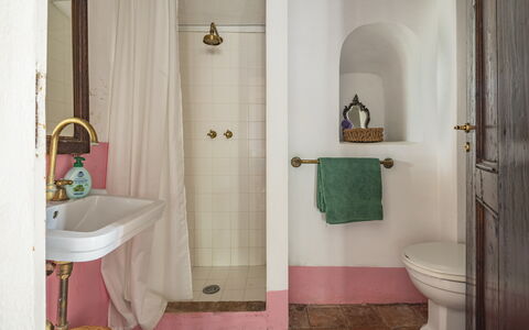 La Casa Dei Limoni, Camaiore, Pet Friendly, Wifi: Wall, Interior Design, Flooring, Floor, Bathroom, Plumbing Fixture, Pink, Room, Plumbing, Tile