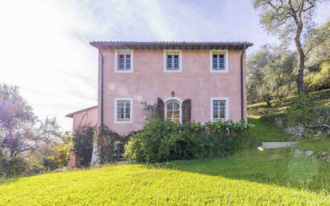 La Casa Dei Limoni, Camaiore, Pet Friendly, Wifi: Vegetation, Shrub, House, Rural Area, Plant Community, Cottage, Home, Spring, Groundcover, Garden