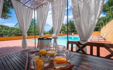 Tenuta De Paoli - Chianni, Pool, Wifi, Privacy, To: Table, Tableware, Furniture, Property, Sky, Chair, Shade, Outdoor Furniture, Wood, Interior Design