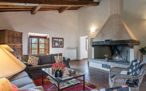 Villa Belvedere: Furniture, Property, Couch, Wood, Interior Design, Table, Houseplant, Living Room, Building, Lighting