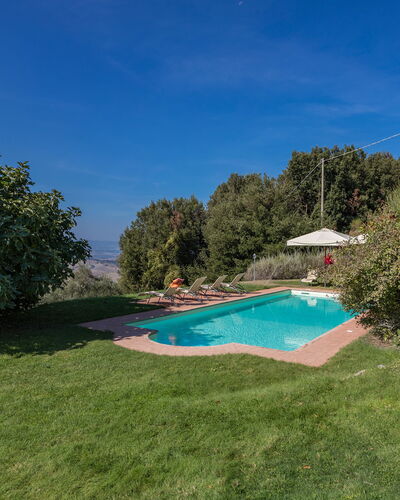 Villa Belvedere: Sky, Plant, Water, Natural Landscape, Tree, Land Lot, Swimming Pool, Shade, Grass, Landscape