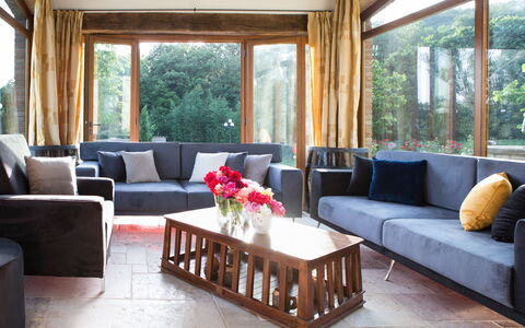 Villa Niccione: Flower, Furniture, Table, Couch, Property, Plant, Interior Design, Lighting, Studio Couch, Living Room