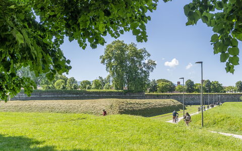 Lucca Old Town Apartment - Lucca, Toscana: Green, Grass, Grassland, Summer, Plain, Landscape, Land Lot, Rural Area, Field