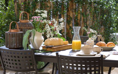 Nocellara Spereto Apartment With Pool, Montaione: Plant, Table, Furniture, Outdoor Table, Outdoor Furniture, Tree, Tableware, Chair, Interior Design, Yellow