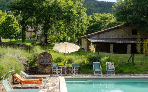 Villa Amiata: Water, Plant, Property, Building, Green, Nature, Umbrella, Tree, Swimming Pool, Outdoor Furniture