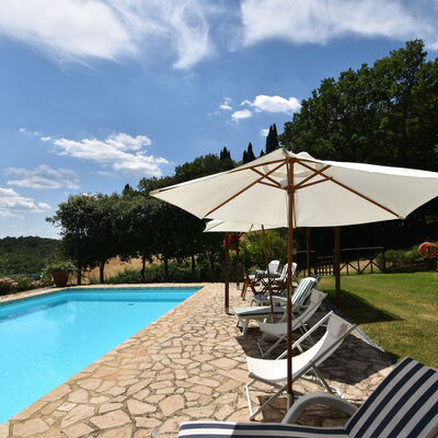 Podere Le Muricce: Cloud, Water, Sky, Plant, Swimming Pool, Umbrella, Tree, Shade, Outdoor Furniture, Chair