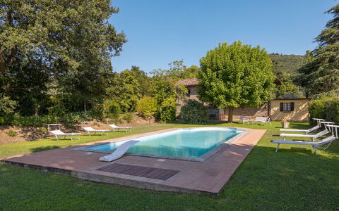 Villa Marconi: Plant, Water, Sky, Swimming Pool, Tree, Shade, Architecture, Outdoor Furniture, Grass, Leisure