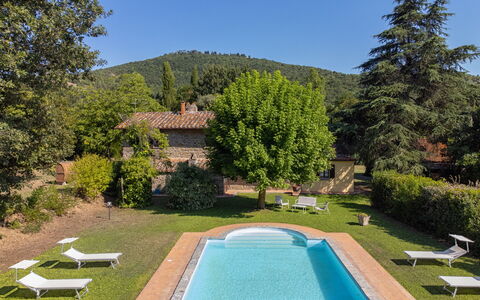 Villa Marconi: Plant, Water, Sky, Property, Building, Green, Swimming Pool, Azure, Tree, Natural Landscape