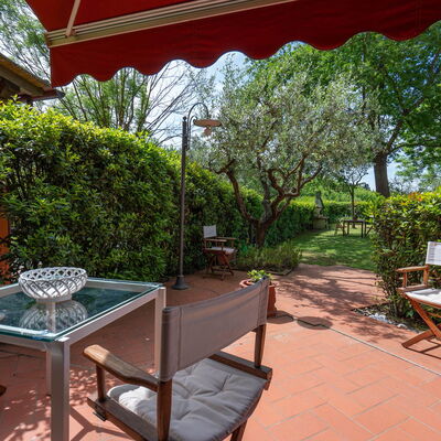 Casa Bellosguardo a Vinci: Plant, Furniture, Property, Table, Shade, Chair, Outdoor Furniture, Tree, Leisure, Outdoor Table