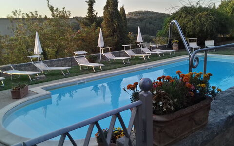 Villa Delle Palme: Water, Plant, Swimming Pool, Blue, Azure, Tree, Sky, Outdoor Furniture, Flowerpot, Flower