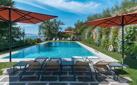 Villa Marlia: Water, Plant, Cloud, Sky, Building, Property, Swimming Pool, Azure, Outdoor Furniture, Umbrella