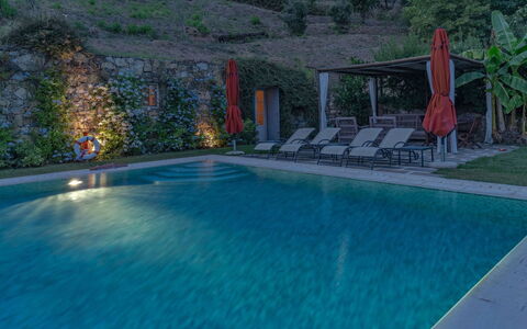 Villa Marlia: Water, Property, Swimming Pool, Azure, Plant, Body Of Water, Outdoor Furniture, Leisure, Tree, Building