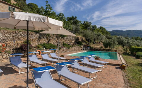 Casale Della Torre: Cloud, Water, Plant, Sky, Property, Furniture, Plant Community, Umbrella, Swimming Pool, Sunlounger