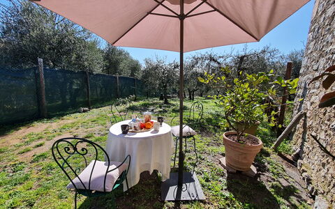 Il Cantuccio: Plant, Furniture, Property, Table, Chair, Umbrella, Outdoor Table, Flowerpot, Shade, Outdoor Furniture