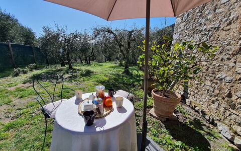 Il Cantuccio: Plant, Property, Flowerpot, Table, Umbrella, Shade, Chair, Outdoor Furniture, Tableware, Building