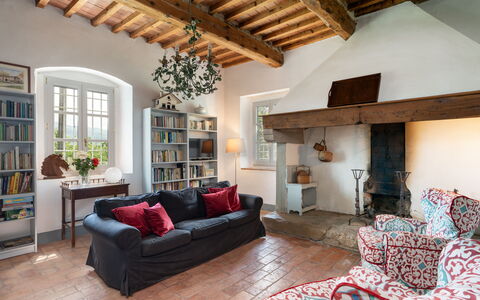 Casa Mirandola: Brown, Furniture, Property, Couch, Picture Frame, Plant, Wood, Interior Design, Living Room, Floor