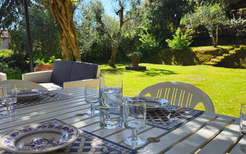 La Piccola Rocca: Table, Plant, Tableware, Furniture, Outdoor Table, Chair, Tree, Outdoor Furniture, Kitchen & Dining Room Table, Wine Glass