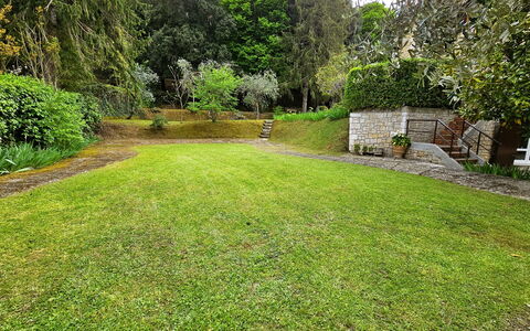 La Piccola Rocca: Plant, Property, Green, Tree, Natural Landscape, Land Lot, Grass, Vegetation, Shrub, Landscape