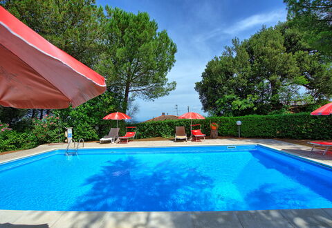 Leccino: Water, Plant, Property, Swimming Pool, Cloud, Nature, Azure, Sky, Tree, Shade