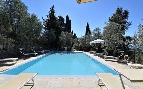 Villa Sette Ponti Levante: Water, Sky, Swimming Pool, Azure, Tree, Shade, Leisure, Composite Material, Real Estate, Rectangle