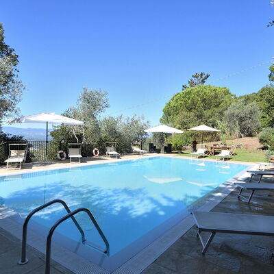 Villa Sette Ponti Levante: Plant, Sky, Property, Water, Swimming Pool, Table, Azure, Shade, Outdoor Furniture, Tree