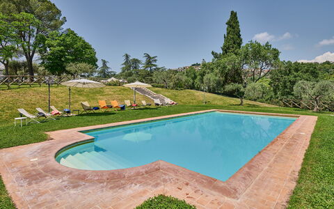 Villa Conte Jacopo: Water, Property, Sky, Swimming Pool, Nature, Tree, Shade, Rectangle, Plant, Grass