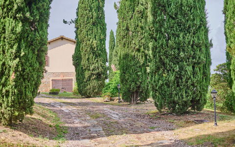 Villa Conte Jacopo: Plant, Sky, Land Lot, Grass, Evergreen, Hedge, Natural Landscape, Tree, Shrub, Landscape