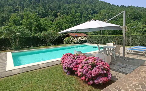 Villa Carducci: Sky, Plant, Water, Property, Swimming Pool, Umbrella, Flower, Outdoor Furniture, Shade, Tree