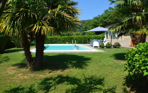Villa Carducci: Water, Plant, Swimming Pool, Shade, Tree, Arecales, Outdoor Furniture, Leisure, Grass, Landscape