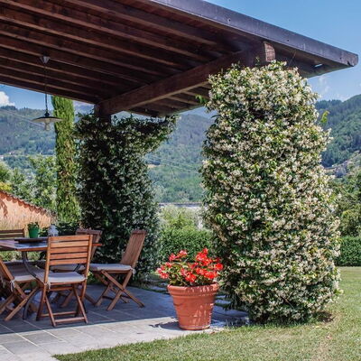 Villa Gelsomino: Plant, Sky, Property, Flowerpot, Leaf, Botany, Tree, Flower, Shade, Mountain