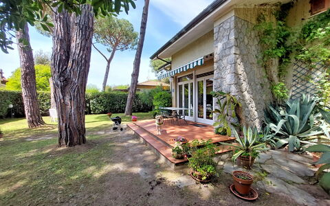 Casa La Pineta: Plant, Property, Building, Nature, Tree, Flowerpot, Sky, Land Lot, Arecales, Grass