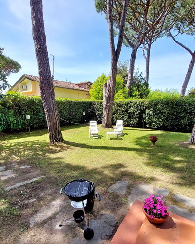 Casa La Pineta: Plant, Property, Sky, Flowerpot, Botany, Tree, Building, Cloud, Grass, Arecales