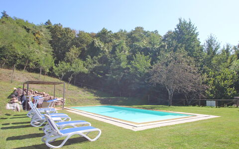 Casetta Verde: Plant, Sky, Swimming Pool, Outdoor Furniture, Shade, Land Lot, Chair, Tree, Landscape, Grass