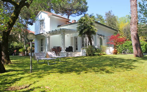 Villa Le Macchie: Plant, Building, Property, Window, Sky, Tree, Door, Botany, House, Land Lot