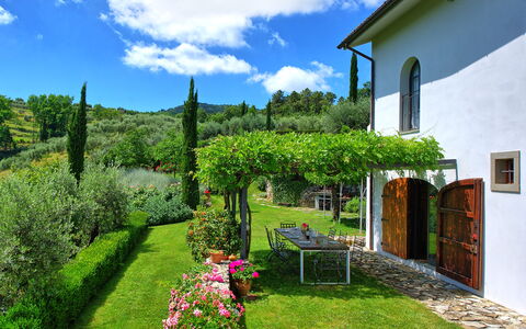 Villa Mami: Plant, Cloud, Flower, Sky, Green, Window, Natural Landscape, Building, Land Lot, Vegetation
