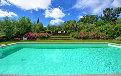 Villa Mami: Water, Cloud, Sky, Plant, Swimming Pool, Tree, Azure, Rectangle, Grass, Leisure