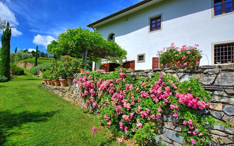 Villa Mami: Flower, Plant, Sky, Property, Window, Cloud, Green, Building, Architecture, Tree