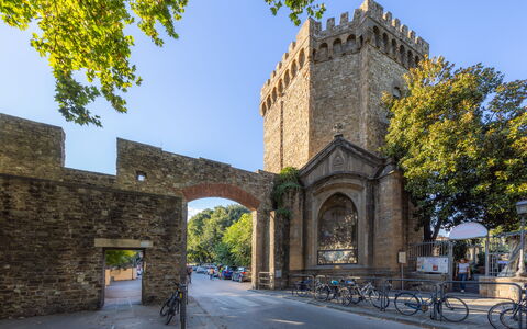 Cascine Apartment In Florence: Tree, Arch, Architecture, Medieval Architecture, Arcade