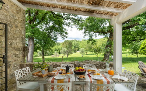 Villa Ida: Plant, Table, Furniture, Property, Chair, Window, Shade, Tree, Lighting, Interior Design